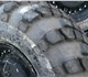 Скачать бесплатно фото Шины и диски Шины ви-203 Маз Ураган 4010602 в Москве Изображение в Авторынок Шины и диски Шина грузовая 1500х600-635Пневматическая в Москве 18 000