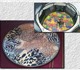 Уникальная фотография Товары для животных Многоразовые пеленки для щенков и взрослых собак имеют 2469225 в Москве Фото в Домашние животные Товары для животных Многоразовые пеленки для щенков и взрослых в Москве 0