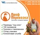 Уникальная фотография Транспорт, грузоперевозки Комфортный переезд в Москве без лишних трат 3978746 в Москве Foto в Авторынок Транспорт, грузоперевозки Наша основная специализация квартирные и в Москве 500